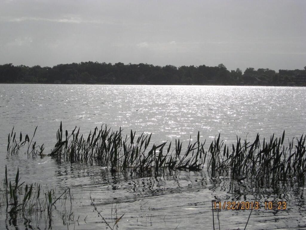 Conway Chain Lake